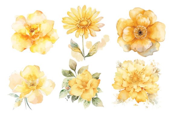 6 Watercolor Creative Florals Bundle